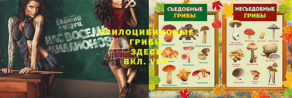 дурь Волоколамск
